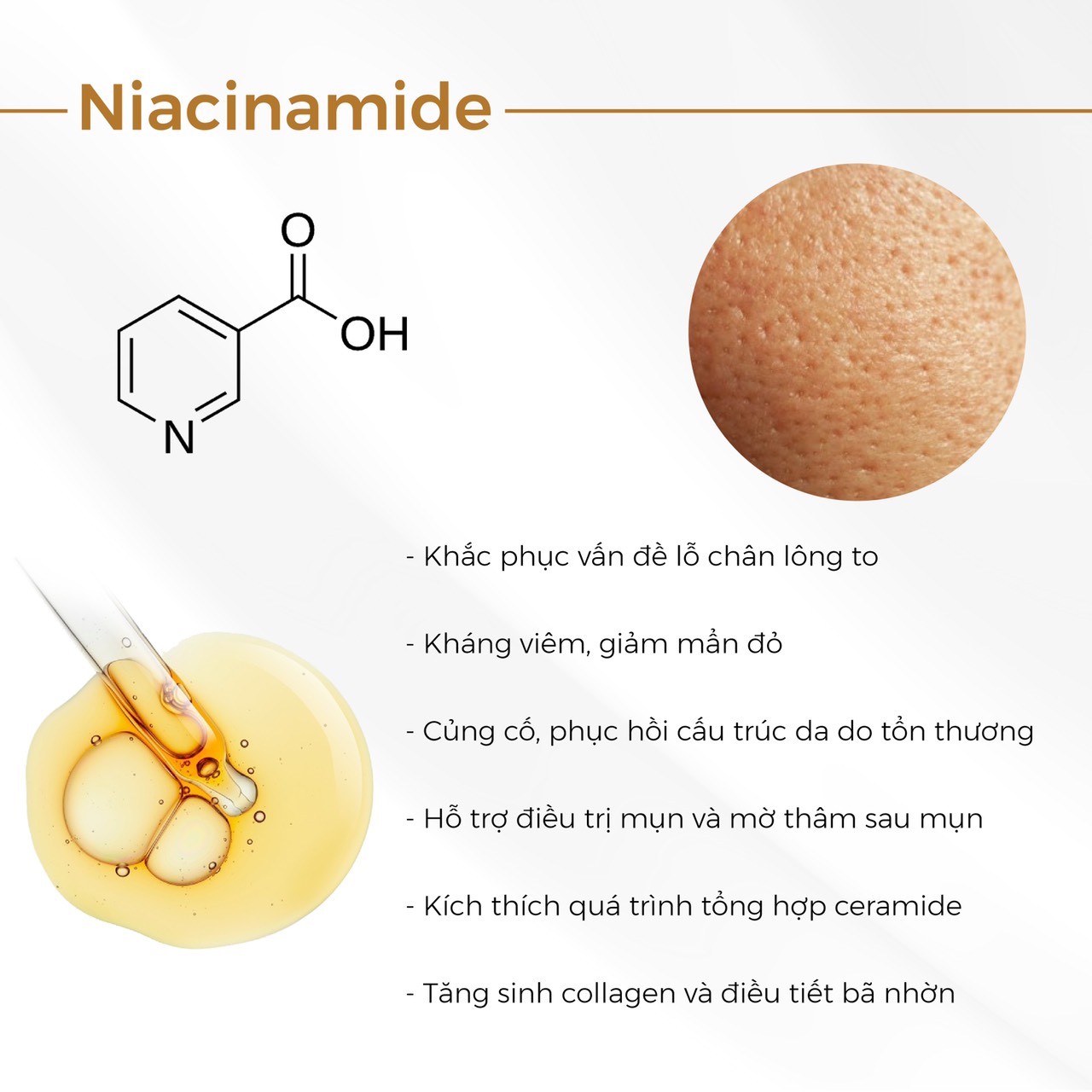Niacinamide – Hoạt chất vạn năng